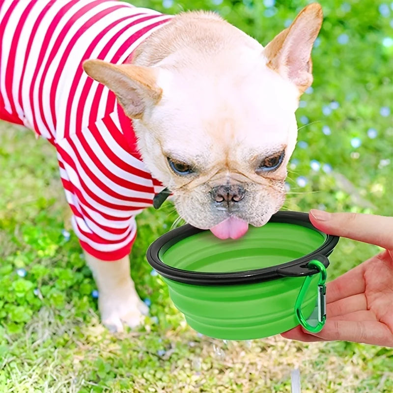 Collapsible Pet Bowl