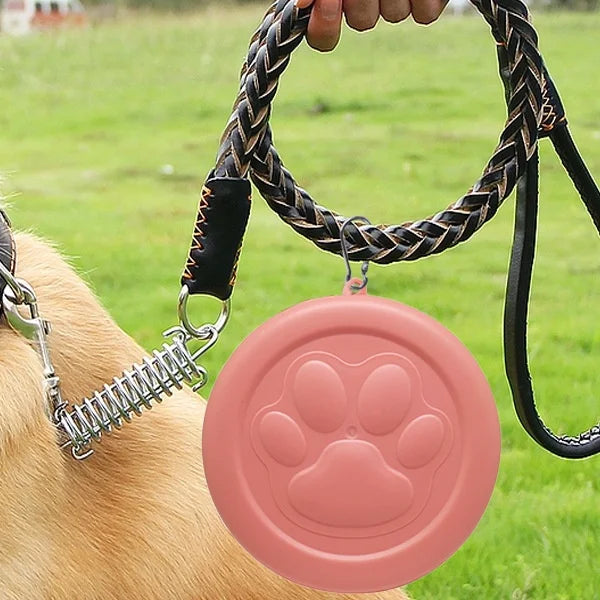 Portable Outdoor Pet Bowl: 2-in-1 Travel Dog Food Dish with Treat Compartment