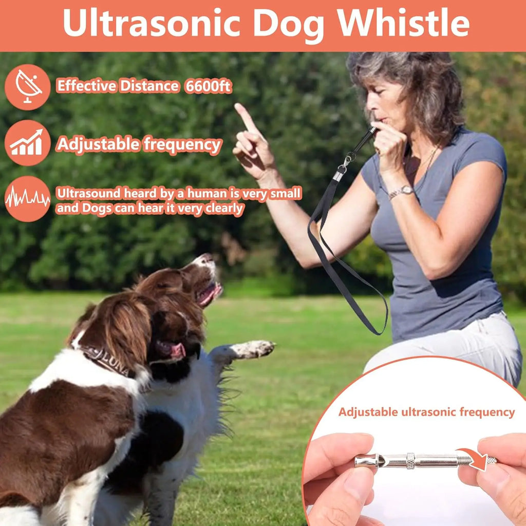 Dog Training Kit