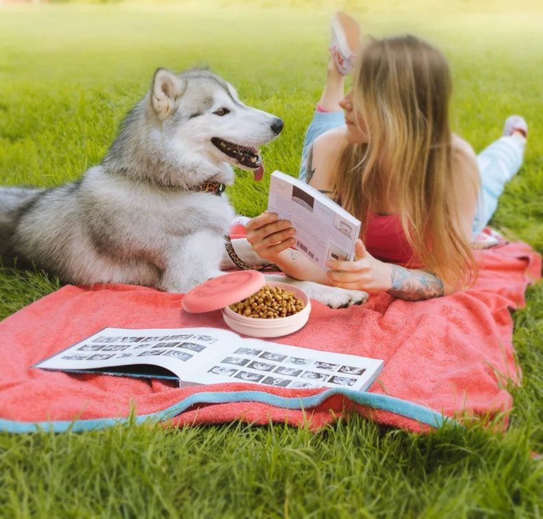 Portable Outdoor Pet Bowl: 2-in-1 Travel Dog Food Dish with Treat Compartment
